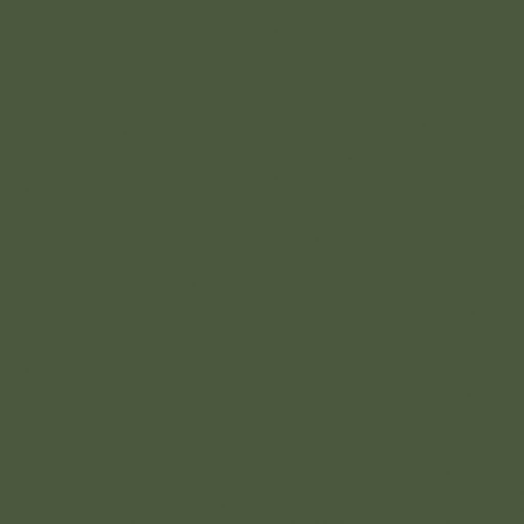 plchldr_img