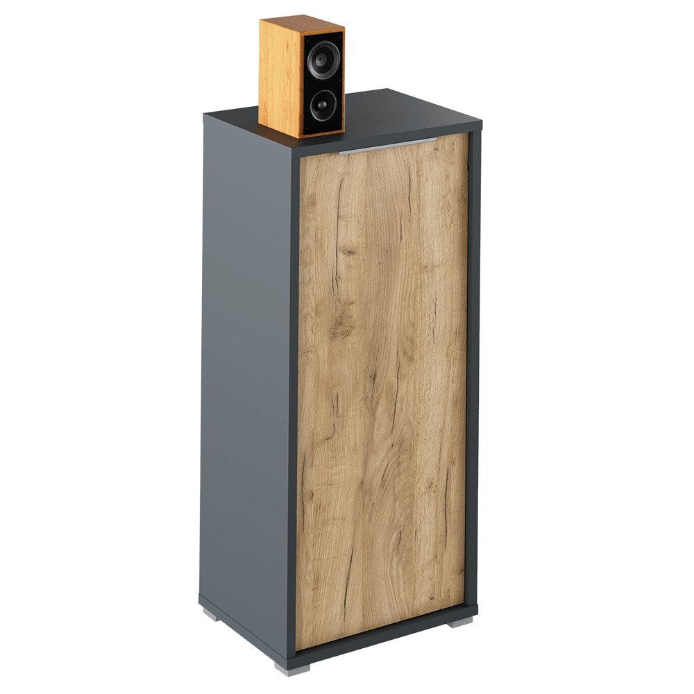 Szekrény, grafit/tölgyfa artisan, RIOMA NEW TYP 10 (RP)